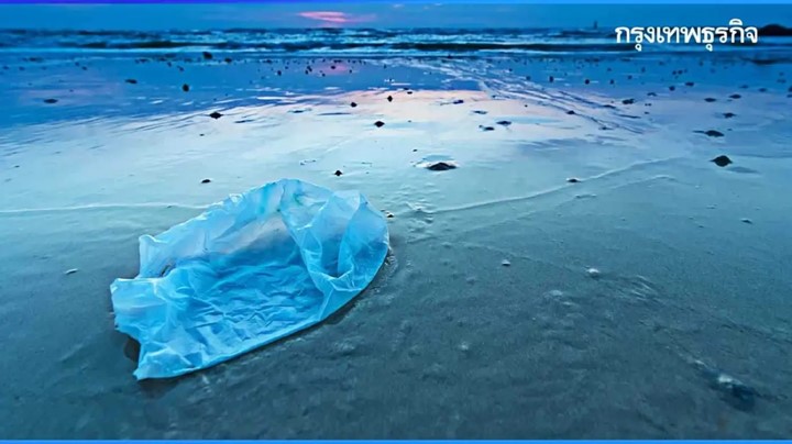 การลดปริมาณขยะพลาสติกตามชายหาด การลดปริมาณขยะพลาสติกตามชายหาด