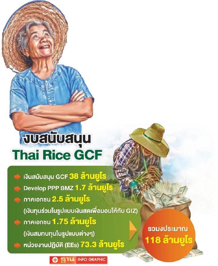 การสนับสนุนโครงการเพิ่มศักยภาพการปลูกข้าวที่เท่าทันต่อภูมิอากาศ (Thai Rice GCF) การสนับสนุนโครงการเพิ่มศักยภาพการปลูกข้าวที่เท่าทันต่อภูมิอากาศ (Thai Rice GCF)