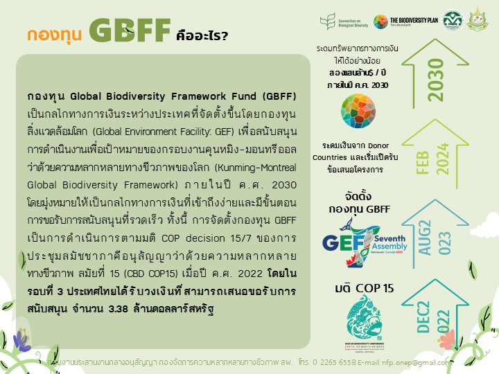 กองทุน GBFF คืออะไร ? กองทุน GBFF คืออะไร ?