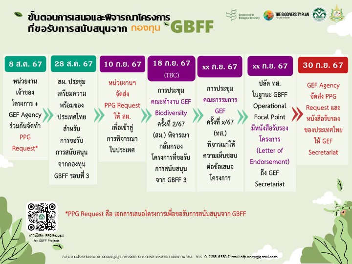 ขั้นตอนการเสนอและพิจารณาโครงการที่ขอรับการสนับสนุนจาก กองทุน GBFF ขั้นตอนการเสนอและพิจารณาโครงการที่ขอรับการสนับสนุนจาก กองทุน GBFF
