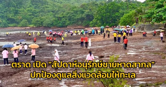 ตราด เปิด “สัปดาห์อนุรักษ์ชายหาดสากล” ปกป้องดูแลสิ่งแวดล้อมให้ทะเล ตราด เปิด “สัปดาห์อนุรักษ์ชายหาดสากล” ปกป้องดูแลสิ่งแวดล้อมให้ทะเล