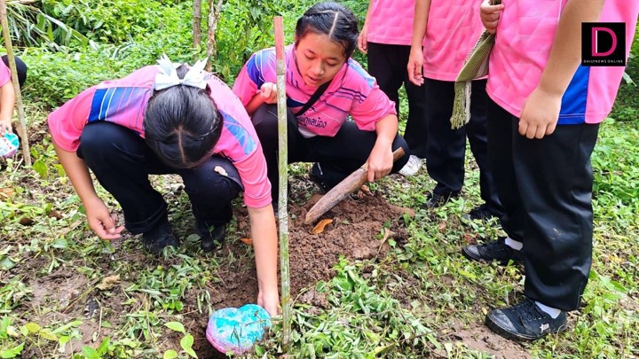 โครงการนำร่องในการพัฒนาวัสดุและอาคารที่พัก (Homestay) โครงการนำร่องในการพัฒนาวัสดุและอาคารที่พัก (Homestay)