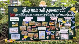 ลอยกระทงปีนี้ สำนักสิ่งแวดล้อมของดกระทงขนมปังในสระน้ำสวนสาธารณะ ลอยกระทงปีนี้ สำนักสิ่งแวดล้อมของดกระทงขนมปังในสระน้ำสวนสาธารณะ