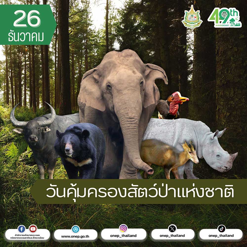 วันคุ้มครองสัตว์ป่าแห่งชาติ วันคุ้มครองสัตว์ป่าแห่งชาติ
