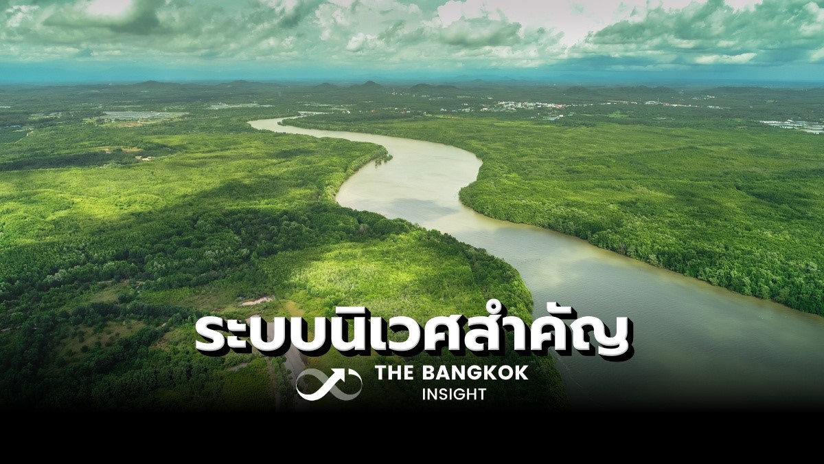 ทำความรู้จัก 'พื้นที่ชุ่มน้ำ' ระบบนิเวศสำคัญต่อ 'สังคมเศรษฐกิจ' ทำความรู้จัก 'พื้นที่ชุ่มน้ำ' ระบบนิเวศสำคัญต่อ 'สังคมเศรษฐกิจ'