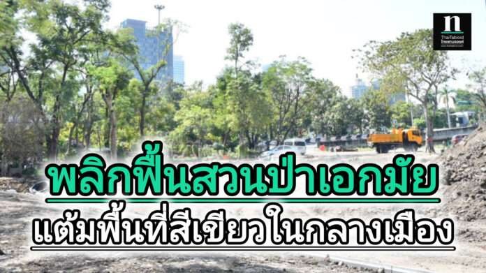 การปรับพื้นที่สวนป่า เพื่อพื้นที่สีเขียว การปรับพื้นที่สวนป่า เพื่อพื้นที่สีเขียว