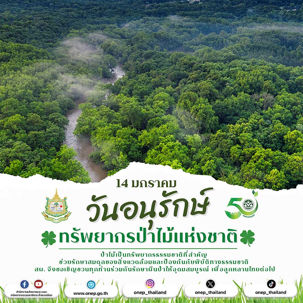 14 มกราคม วันอนุรักษ์ทรัพยากรป่าไม้แห่งชาติ 14 มกราคม วันอนุรักษ์ทรัพยากรป่าไม้แห่งชาติ