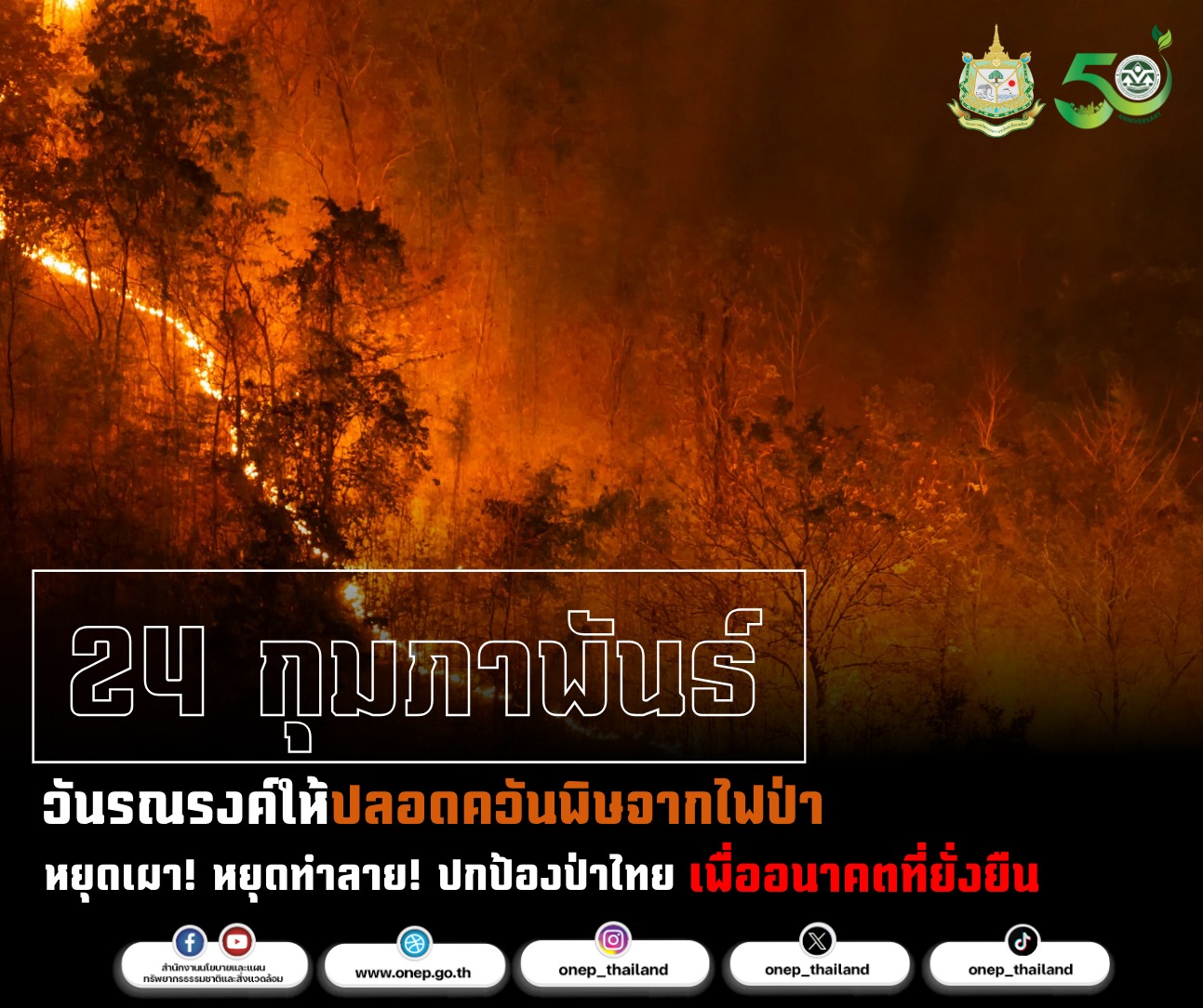 24 กุมภาพันธ์ ‘วันรณรงค์ให้ปลอดควันพิษจากไฟป่า’ 24 กุมภาพันธ์ ‘วันรณรงค์ให้ปลอดควันพิษจากไฟป่า’
