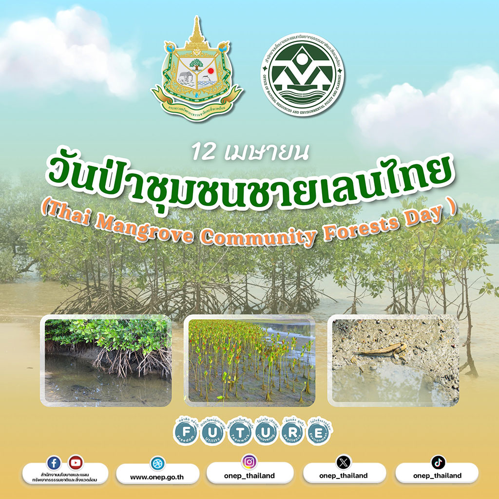 12 เมษายน วันป่าชุมชนชายเลนไทย 12 เมษายน วันป่าชุมชนชายเลนไทย