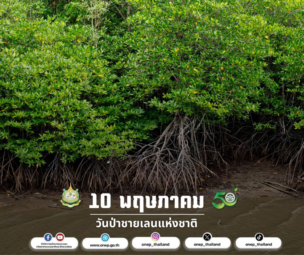 10 พฤษภาคม วันป่าชายเลนแห่งชาติ 10 พฤษภาคม วันป่าชายเลนแห่งชาติ