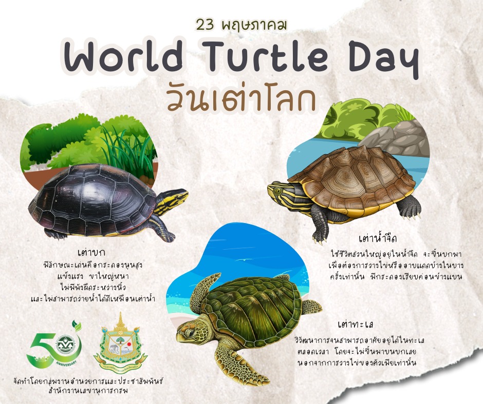 23 พฤษภาคม ของทุกปี เป็นวันเต่าโลก 23 พฤษภาคม ของทุกปี เป็นวันเต่าโลก