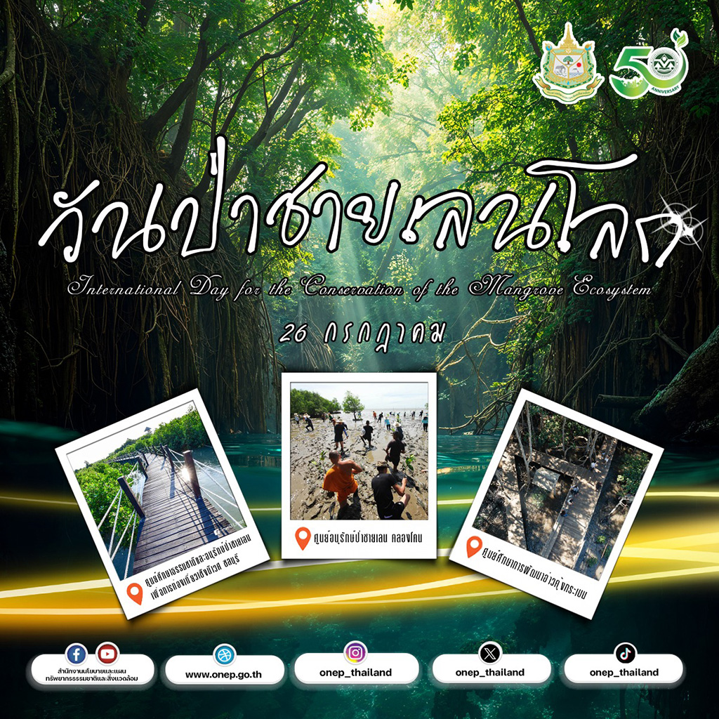 26 กรกฎาคม วันป่าชายเลนโลก