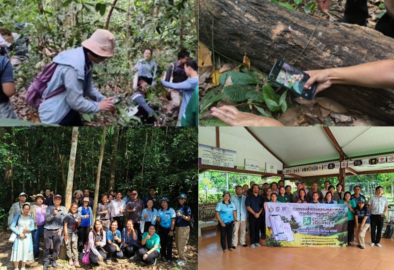 กิจกรรมสำรวจความหลากหลายทางชีวภาพรอบตัวผ่าน THBIF Journey Application