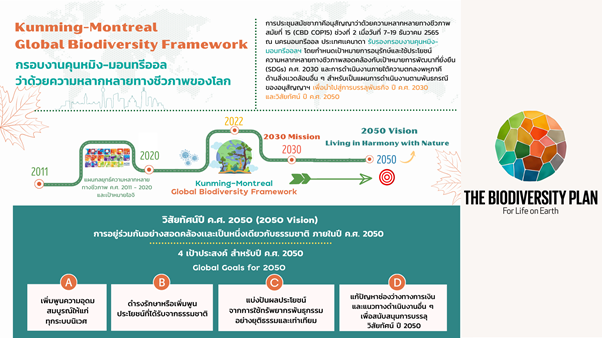 กรอบงานคุนหมิง-มอนทรีออลว่าด้วยความหลากหลายทางชีวภาพของโลก ประกอบด้วย 4 เป้าประสงค์หลัก สำหรับ ค.ศ. 2030 กรอบงานคุนหมิง-มอนทรีออลว่าด้วยความหลากหลายทางชีวภาพของโลก ประกอบด้วย 4 เป้าประสงค์หลัก สำหรับ ค.ศ. 2030