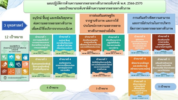 แผนปฏิบัติการความหลากหลายทางชีวภาพระดับชาติ พ.ศ. 2566-2570 และเป้าหมายระดับชาติด้านความหลากหลายทางชีวภาพ แผนปฏิบัติการความหลากหลายทางชีวภาพระดับชาติ พ.ศ. 2566-2570 และเป้าหมายระดับชาติด้านความหลากหลายทางชีวภาพ