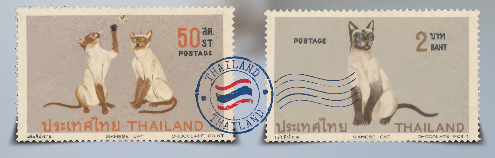 แมวไทยโบราณ