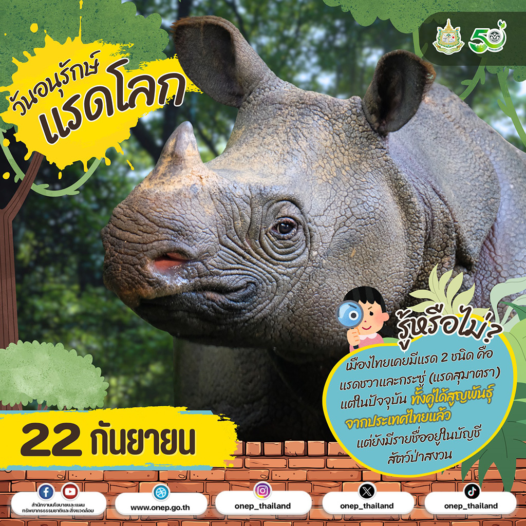 22 กันยายนของทุกปี เป็น "วันอนุรักษ์แรดโลก"