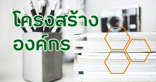 โครงสร้างองค์กร