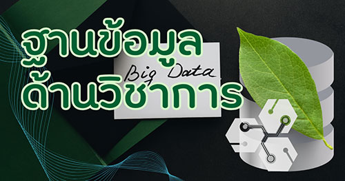 ฐานข้อมูลด้านวิชาการ