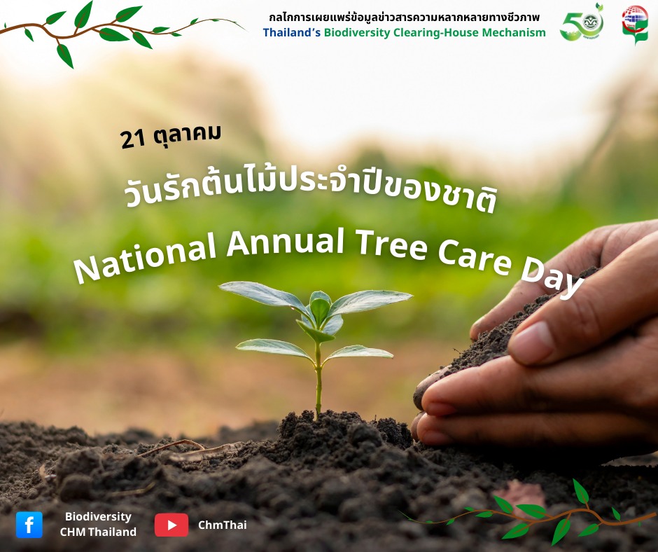 21 ตุลาคม วันรักต้นไม้ประจำปีของชาติ 21 ตุลาคม วันรักต้นไม้ประจำปีของชาติ