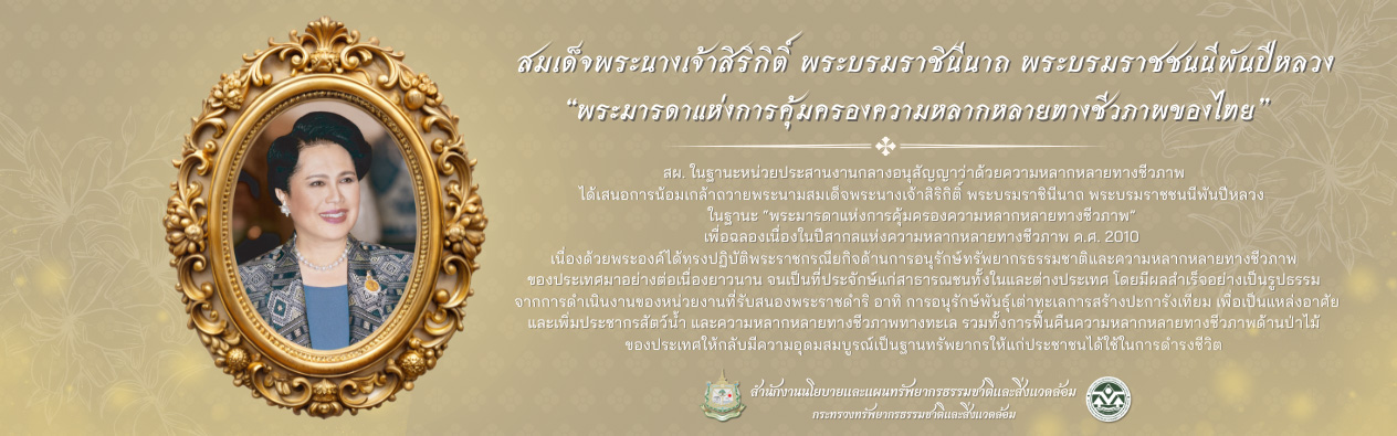 สมเด็จพระนางเจ้าสิริกิติ์ พระบรมราชินีนาถ พระบรมราชชนนีพันปีหลวง “พระมารดาแห่งความหลากหลายทางชีวภาพของไทย” สมเด็จพระนางเจ้าสิริกิติ์ พระบรมราชินีนาถ พระบรมราชชนนีพันปีหลวง “พระมารดาแห่งความหลากหลายทางชีวภาพของไทย”