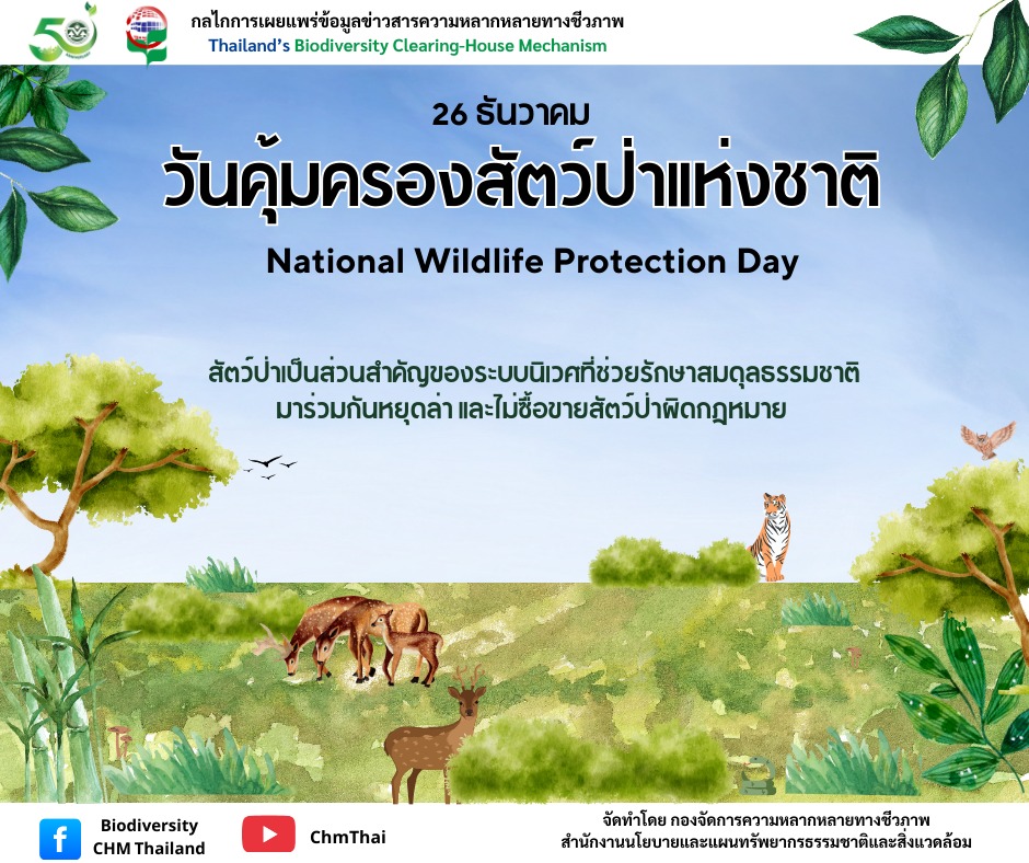 26 ธันวาคม ของทุกปี "วันคุ้มครองสัตว์ป่าแห่งชาติ"