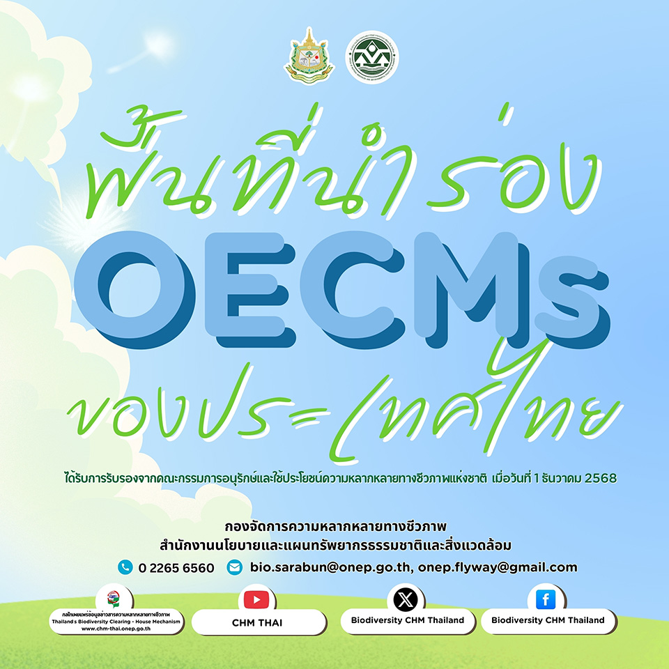 พื้นที่นำร่อง OECMs ของประเทศไทย พื้นที่นำร่อง OECMs ของประเทศไทย