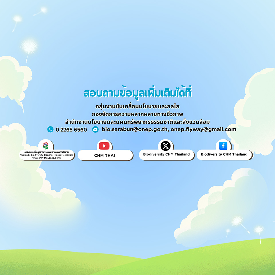 พื้นที่นำร่อง OECMs ของประเทศไทย พื้นที่นำร่อง OECMs ของประเทศไทย