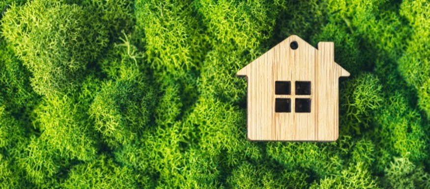 เทรนด์บ้านสีเขียว ก้าวสู่การอยู่อาศัยที่ยั่งยืน เทรนด์บ้านสีเขียว ก้าวสู่การอยู่อาศัยที่ยั่งยืน