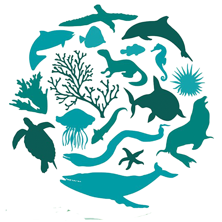 ความหลากหลายทางชีวภาพ