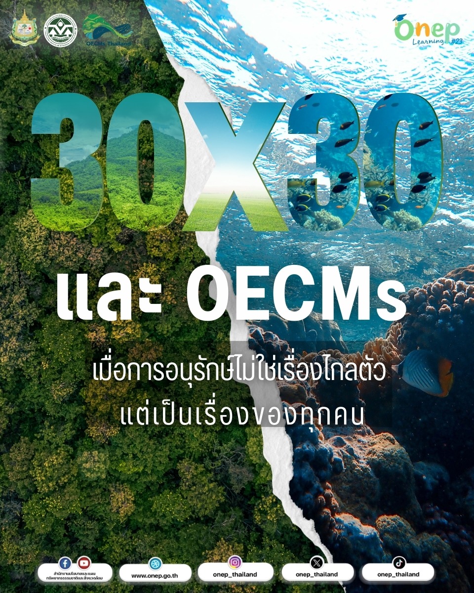 ONEP Learning #23 30×30 และ OECMs : เมื่อการอนุรักษ์ไม่ใช่เรื่องไกลตัว แต่เป็นเรื่องของทุกคน