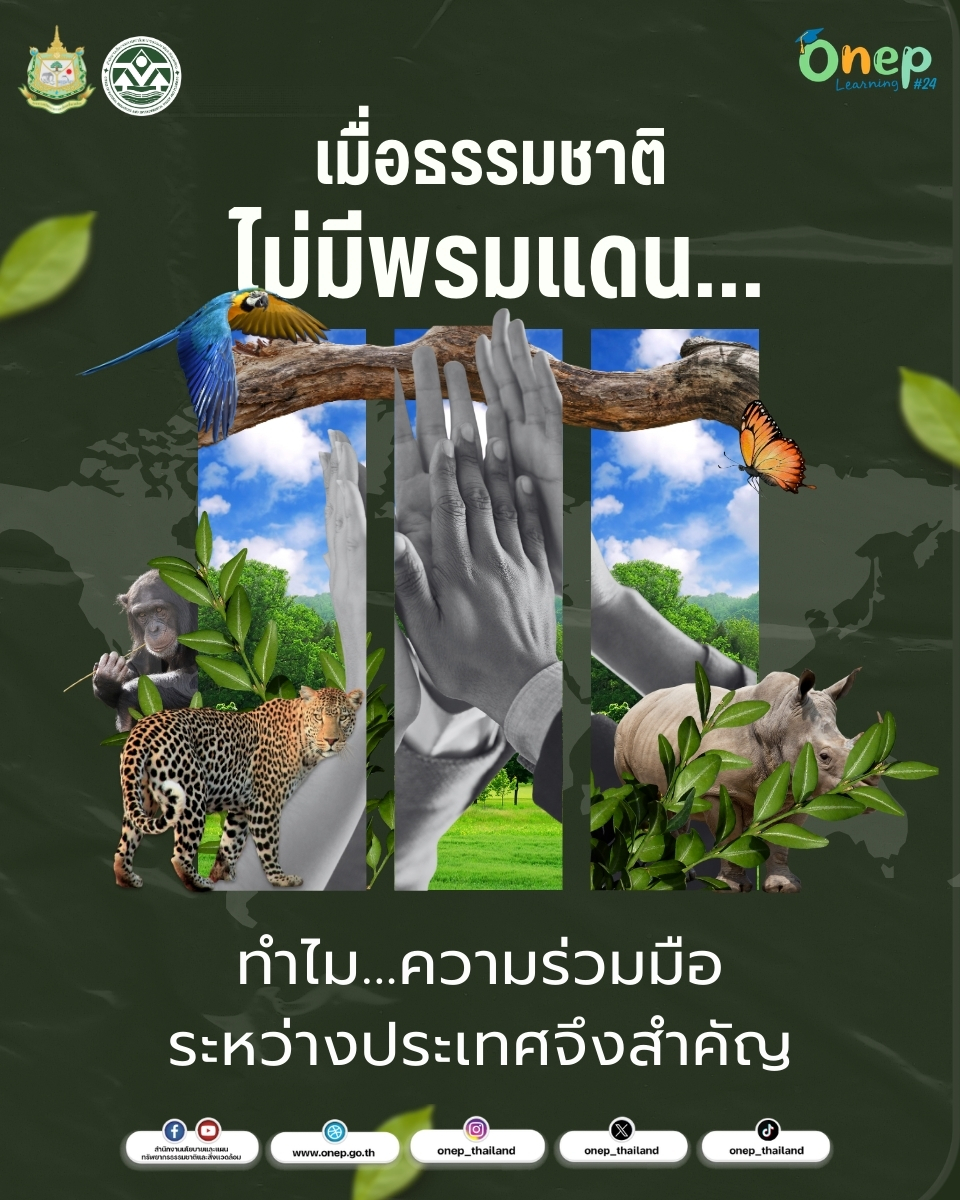 ONEP Learning #24 เมื่อธรรมชาติไม่มีพรมแดน…ทำไมความร่วมมือระหว่างประเทศจึงสำคัญ