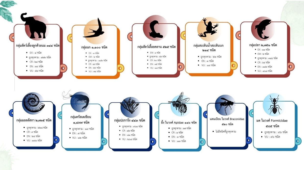 ชนิดสัตว์ที่ถูกคุกคามของประเทศไทย ปี พ.ศ. 2568