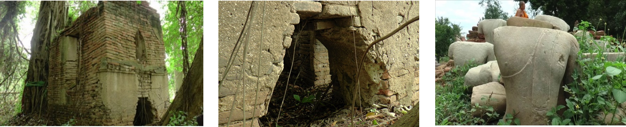 ผืนป่าสุดท้าย ธรรมชาติที่ควรอนุรักษ์ ผืนป่าสุดท้าย ธรรมชาติที่ควรอนุรักษ์