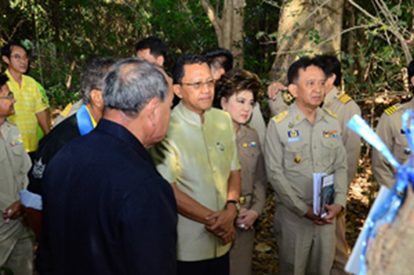 ผืนป่าสุดท้าย ผืนป่าสุดท้าย