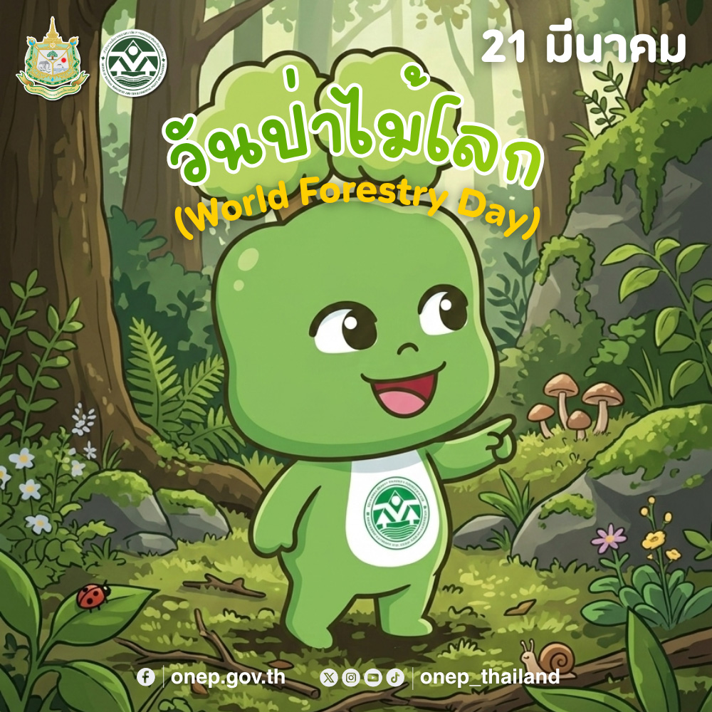 21 มีนาคม วันป่าไม้โลก (World Forestry Day)