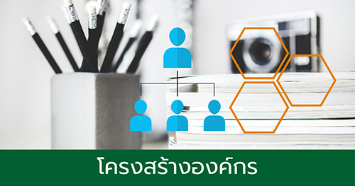 โครงสร้างองค์กร