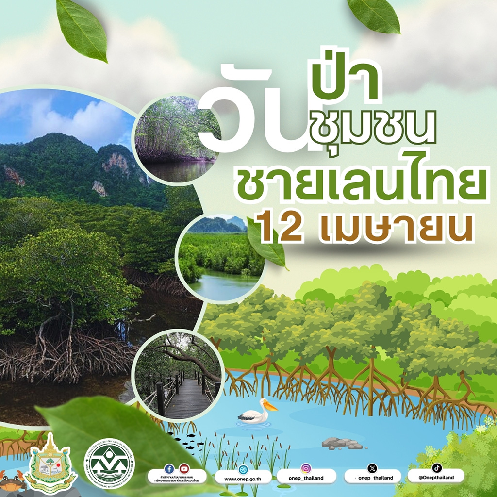 12 เมษายน “วันป่าชายเลนชุมชนชายเลนไทย”
