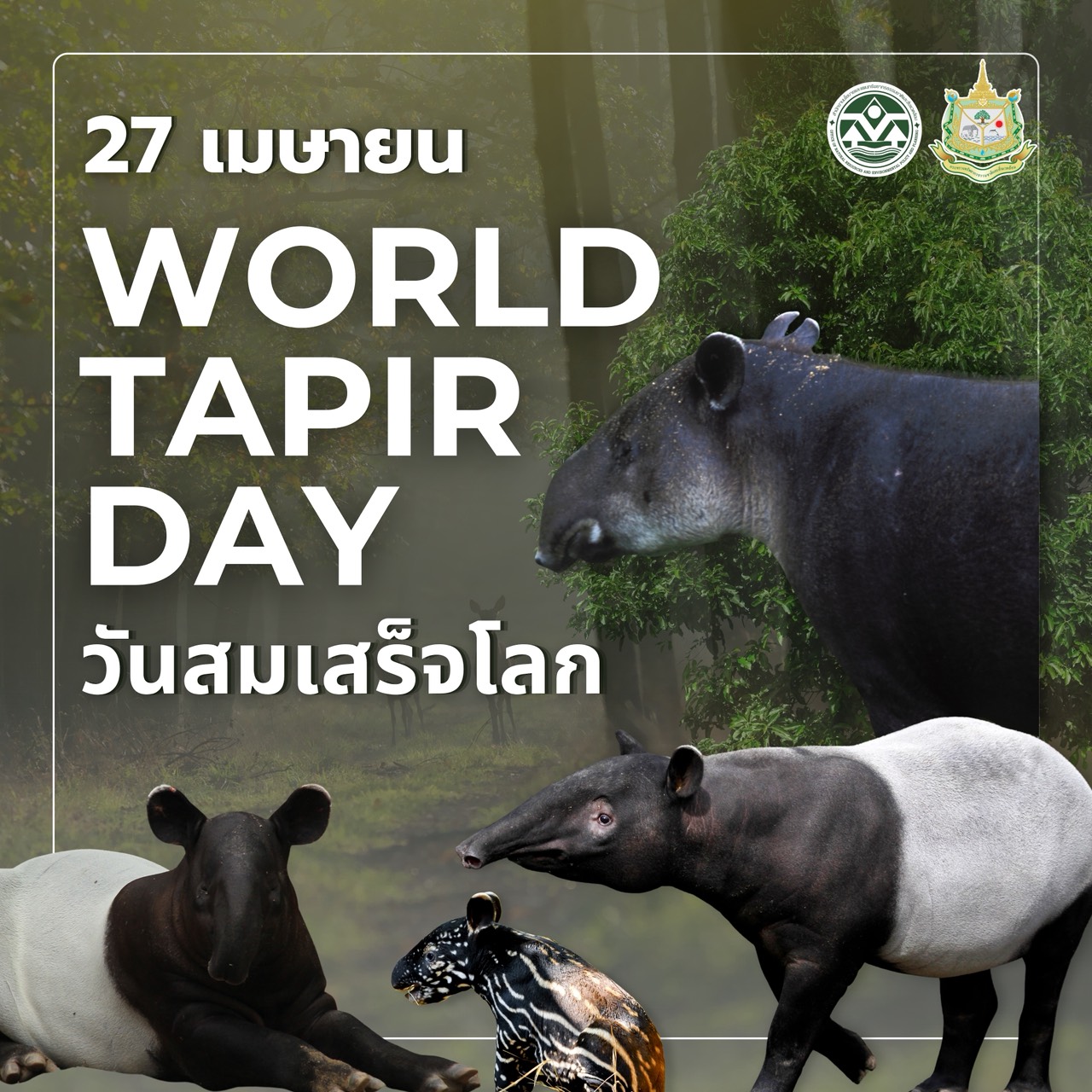 27 เมษายน “วันสมเสร็จโลก”