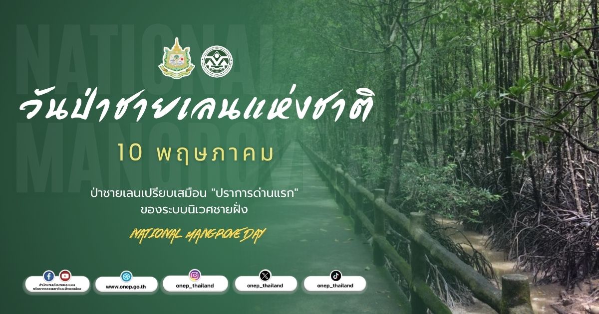 10 พฤษภาคม ของทุกปี วันป่าชายเลนแห่งชาติ