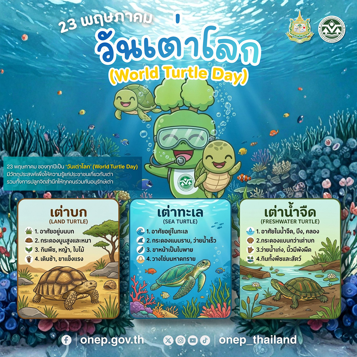 23 พฤษภาคม ‘วันเต่าโลก’ (World Turtle Day)