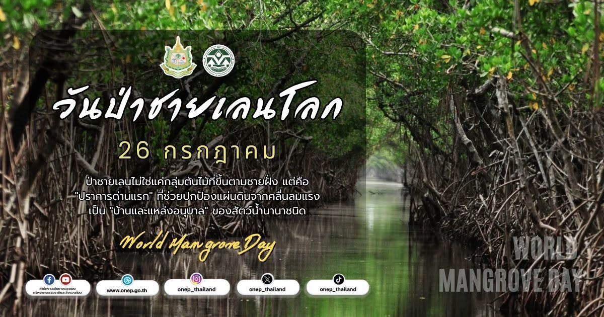 26 กรกฎาคม วันป่าชายเลนโลก