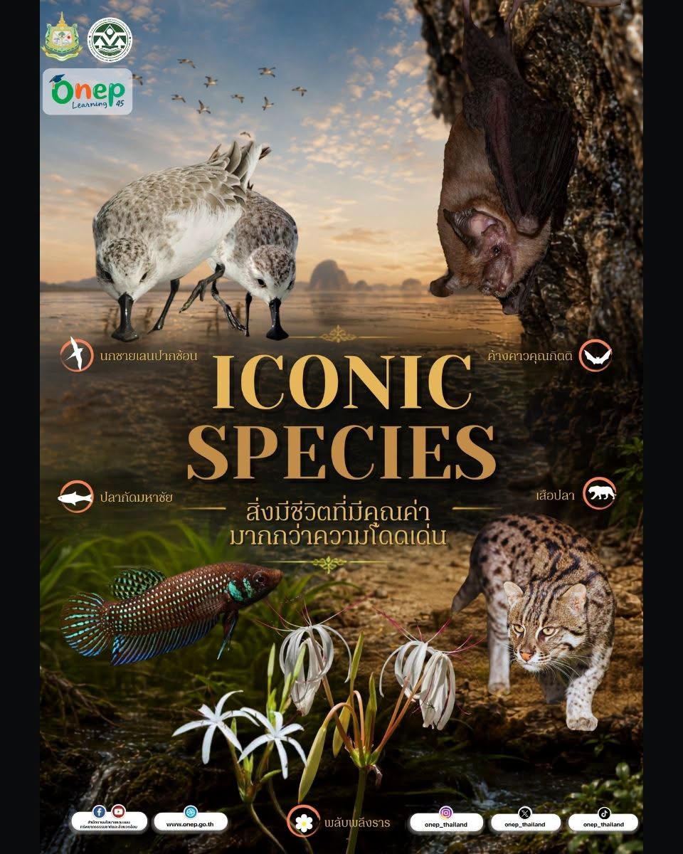 ONEP Learning #45 Iconic Species สิ่งมีชีวิตที่มีคุณค่ามากกว่าความโดดเด่น