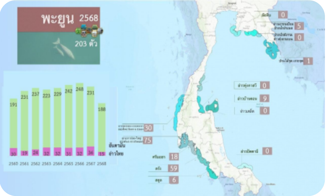 สำรวจปิโตรเลียมฝั่งอันดามันกับคุณค่าระบบนิเวศที่ต้องจ่าย3