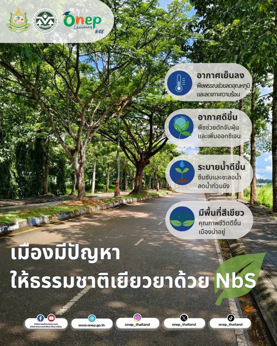 ONEP Learning #48 เมืองมีปัญหา ให้ธรรมชาติเยียวยาด้วย NbS