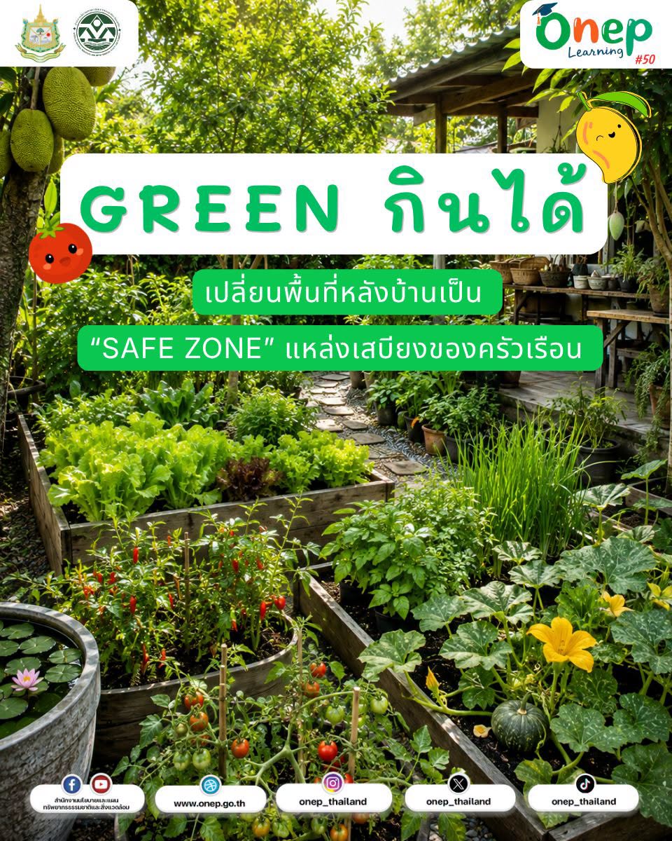 ONEP Learning #50 Green กินได้” เปลี่ยนพื้นที่หลังบ้าน เป็น Safe Zone แหล่งเสบียงของครัวเรือน