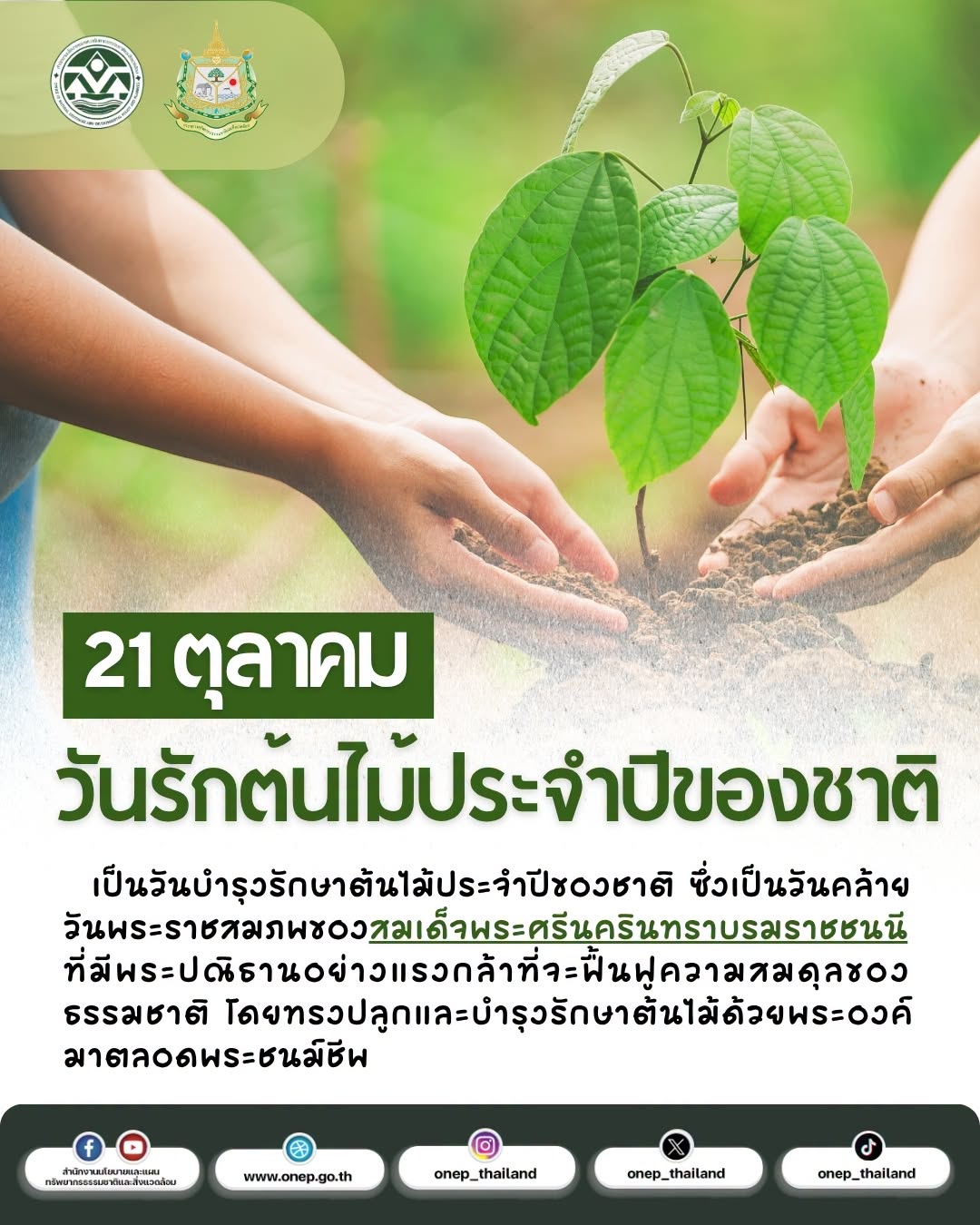 21 ตุลาคม วันรักต้นไม้ประจำปีของชาติ